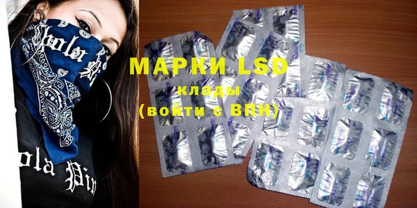 прущие грибы Каменск-Шахтинский