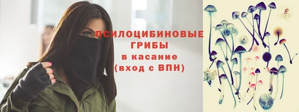 прущие грибы Каменск-Шахтинский